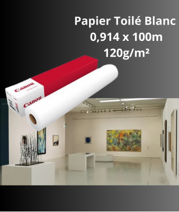Papier Toilé Blanc 120gr 100m - LFM035
